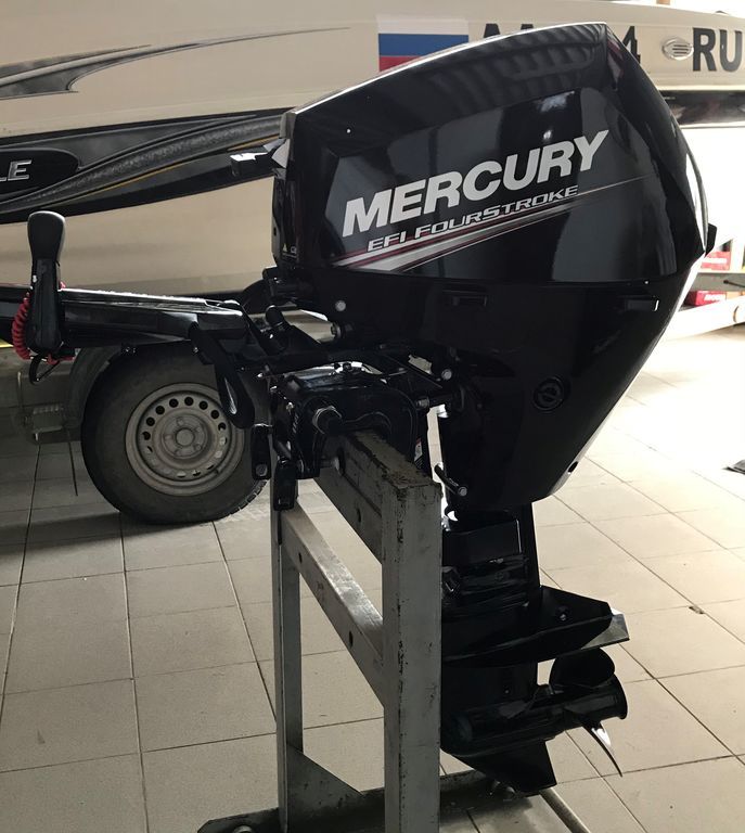 Mercury f150. Mercury f10 MH EFI. Mercury 10 EFI. Mercury f 20 MH EFI електро стартер. Лодочный мотор Mercury f 20 MH EFI длина дейдвуда.