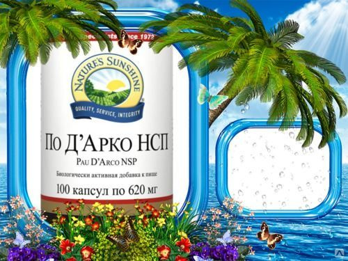 По д арко нсп капсулы отзывы. Капсулы БАД
