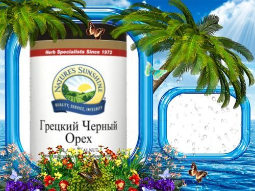 По д арко нсп капсулы отзывы. Черный орех NSP. Грецкий черный орех 100 капсул