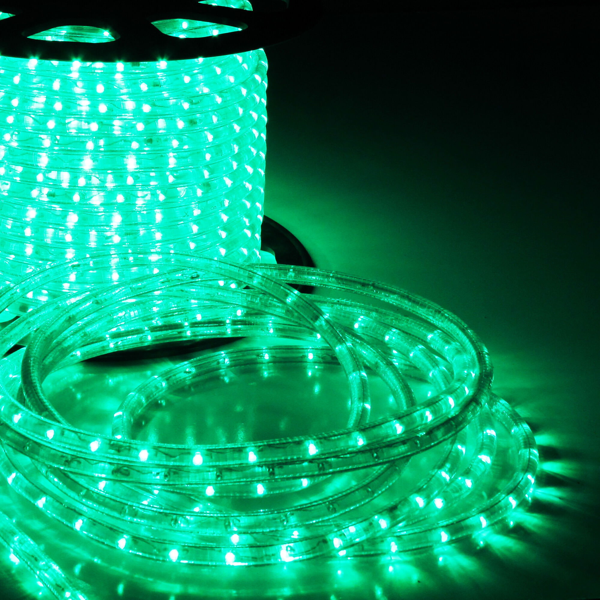 Дюралайт LED фиксинг,зеленый, 12V, D13 мм, 91.44м,LED-DL-2W-ф13-2W-2.54CM-300FT-12V-G (FS-00001607)