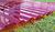 Поликарбонат кровельный монолитный 0,8 мм Красный МПК трапеция 1,05х3м #2