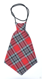 Школьный галстук: ША001 