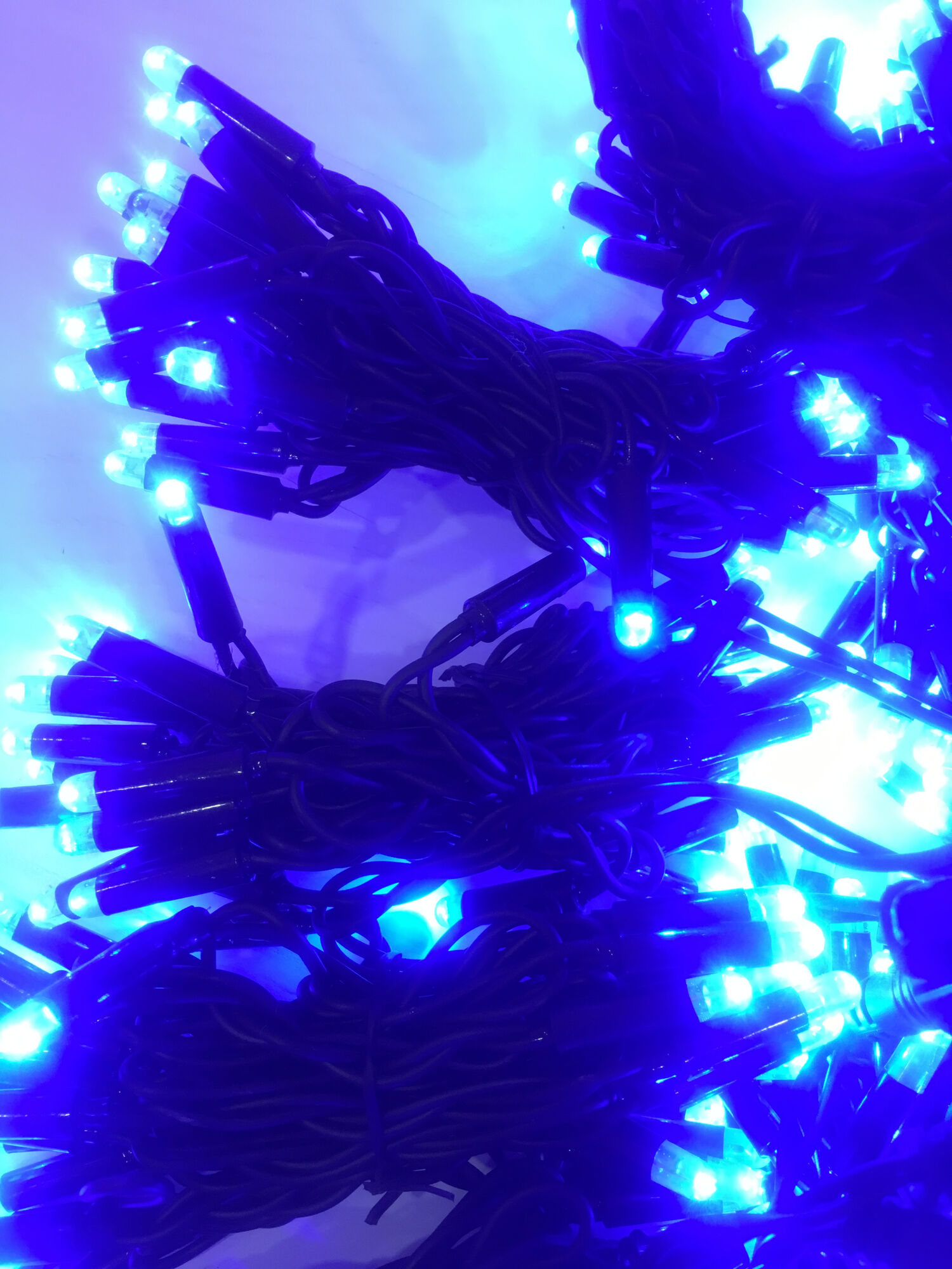 Светодиодная гирлянда плей-лайт (синие светодиоды (3мм + CAP)/черный LED- PLS-1920-240V-2*1,5М-B/BL (FS-00-00000095)