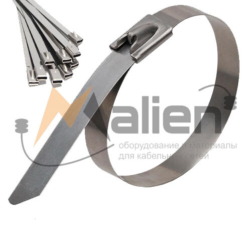 Стяжки стальные (AISI 304), 100 шт. МАЛИЕН СТС 4.6x100 мм