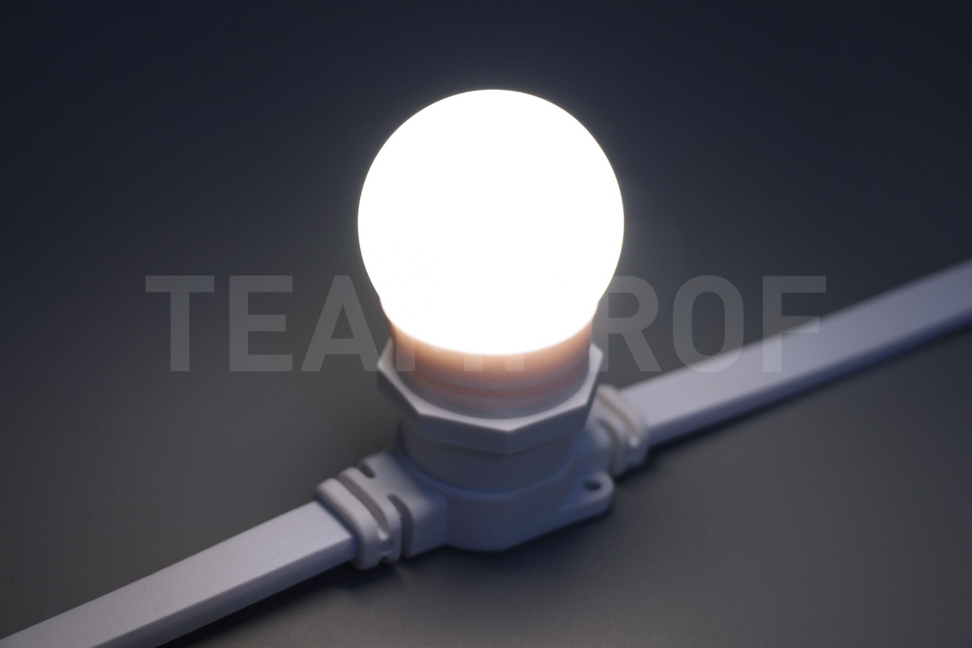 Светодиодная лампа для белт-лайт, 2 Вт, d=45 мм, белая