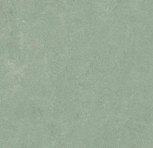 Линолеум натуральный Marmoleum Fresco 3891 sage