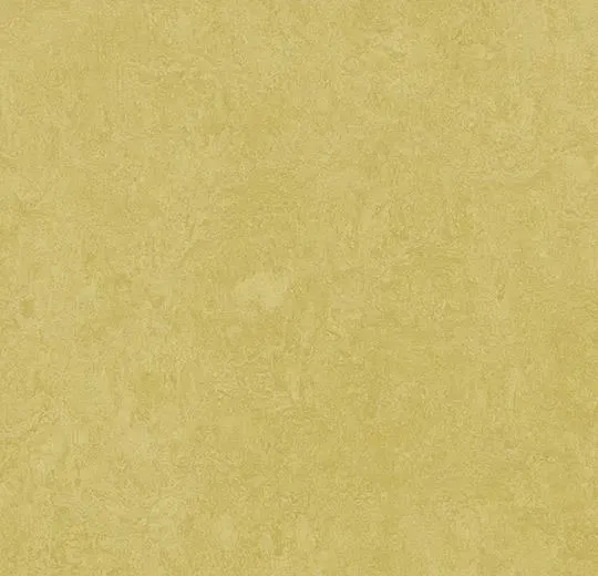 Линолеум натуральный Marmoleum Fresco 3259 mustard