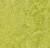 Marmoleum Decibel 322435 chartreuse #1